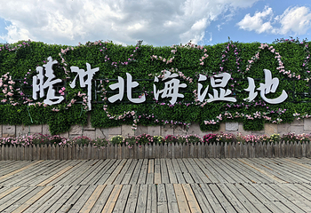 北海湿地第 89 张图片