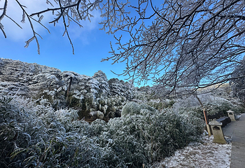 三清山风景区第 138 张图片