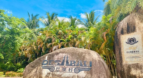 巴里村热带雨林