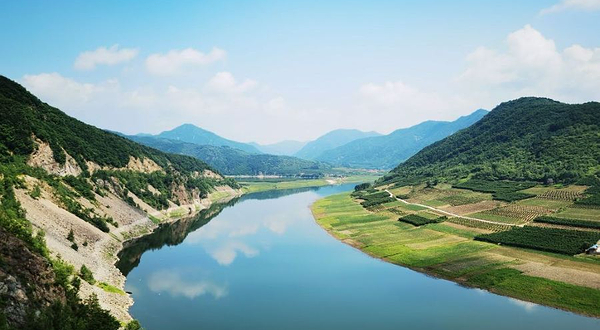 绿江村油菜花基地