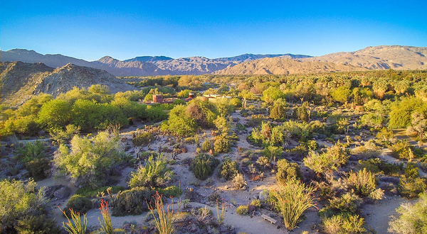 拉斯维加斯棕榈泉