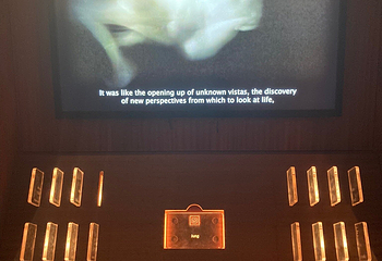 Federico Fellini Museum第 19 张图片