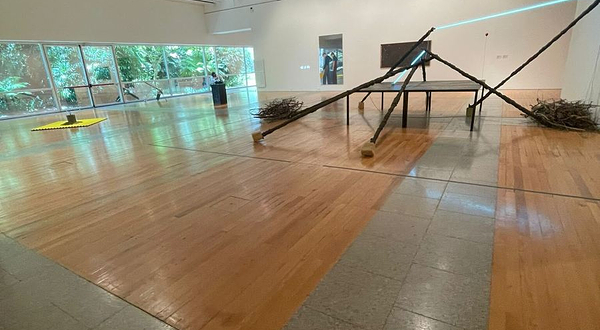 国家当代艺术博物馆