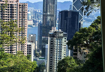 太平山顶第 157 张图片