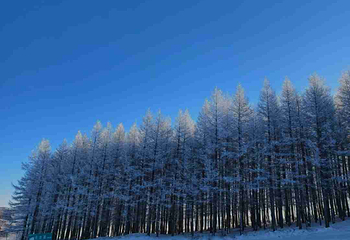 万龙滑雪场第 195 张图片