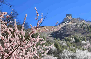八达岭长城第 134 张图片