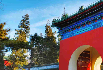 日坛公园第 59 张图片