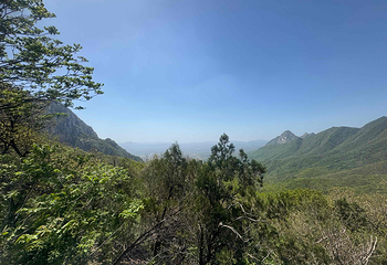 嵩山少林景区第 54 张图片
