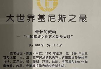 青海藏文化博物院第 160 张图片