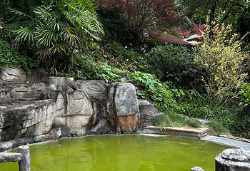 花水湾温泉度假区第 27 张图片
