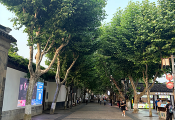 牛首山文化旅游区第 602 张图片