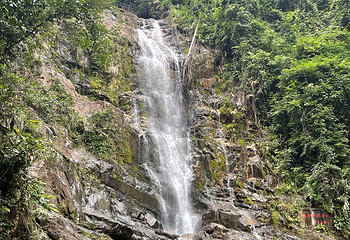 鼎湖山第 34 张图片