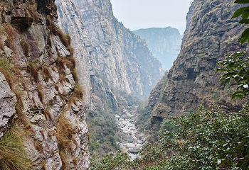 庐山风景名胜区第 327 张图片