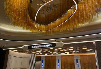 澳门美高梅天幕广场第 38 张图片