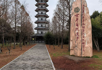 中华麋鹿园第 97 张图片
