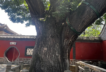 晋祠博物馆第 305 张图片
