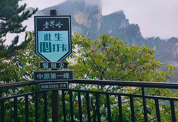 老界岭旅游度假区第 105 张图片