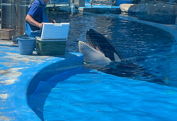 名古屋港水族馆第 37 张图片