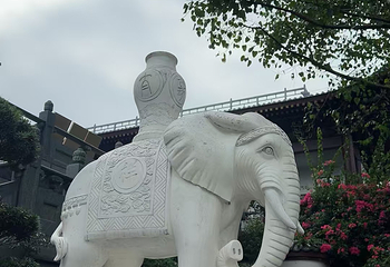青秀山第 232 张图片