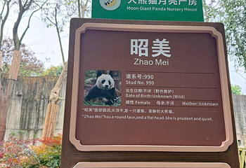 成都大熊猫繁育研究基地第 292 张图片