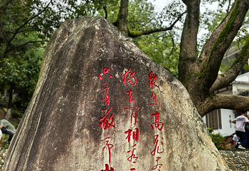 敬亭山第 68 张图片
