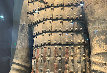 秦始皇帝陵博物院(兵马俑)第 501 张图片