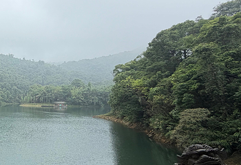 鼎湖山第 67 张图片