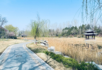 铁塔景区第 94 张图片