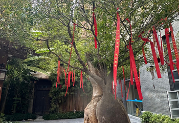 灞业3000m温泉第 30 张图片