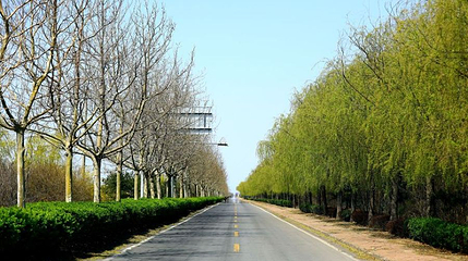 曹妃甸湿地景区-曹妃湖风景区第 1 张图片