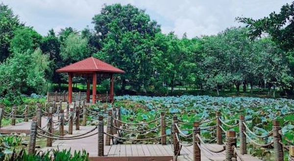 松山湖创意公园