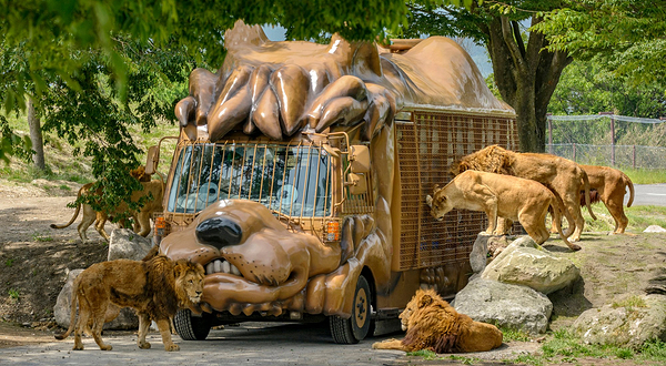 九州自然动物园