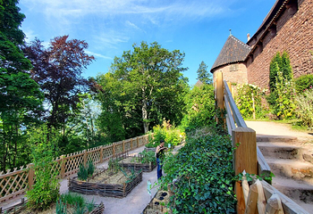 Chateau du Haut Koenigsbourg第 2 张图片