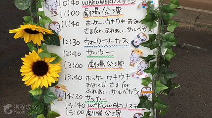 日光猴子军团第 4 张图片