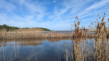 Yawkey Wildlife Center