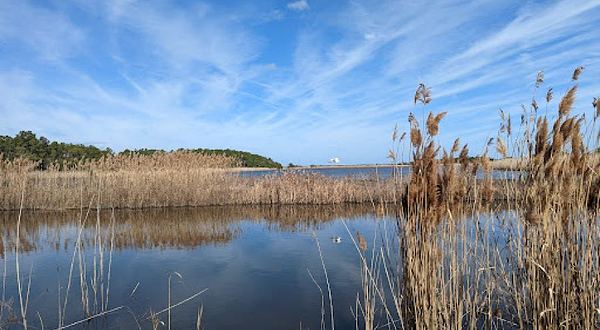 Yawkey Wildlife Center