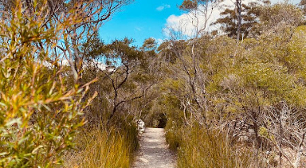 Springbrook National Park Canyon Lookout