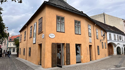 Beethovenhaus第 1 张图片