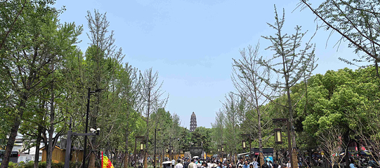 虎丘山风景名胜区第 193 张图片