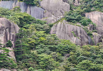 黄山风景区第 329 张图片