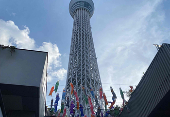 东京晴空塔第 168 张图片