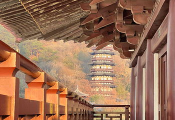 牛首山文化旅游区第 415 张图片