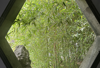 网师园第 72 张图片