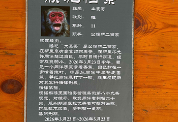 南湾猴岛生态旅游区第 120 张图片