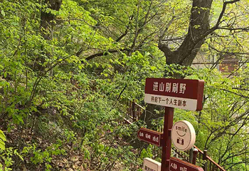 终南山南五台景区第 139 张图片