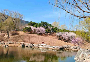 北京西山国家森林公园第 36 张图片