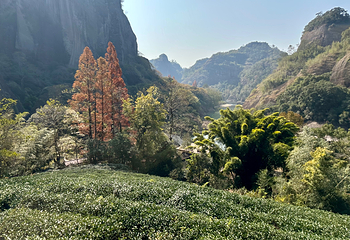 武夷山国家公园第 34 张图片