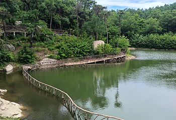 沂蒙山旅游区龟蒙景区第 60 张图片