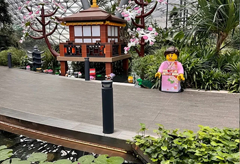 星耀樟宜第 213 张图片