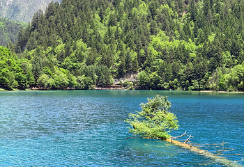 九寨沟风景区第 343 张图片